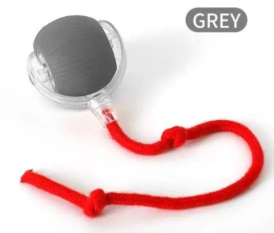 Speedy Tail Pet Toy Ball My Store