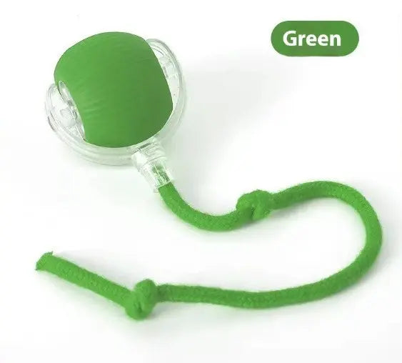 Speedy Tail Pet Toy Ball My Store