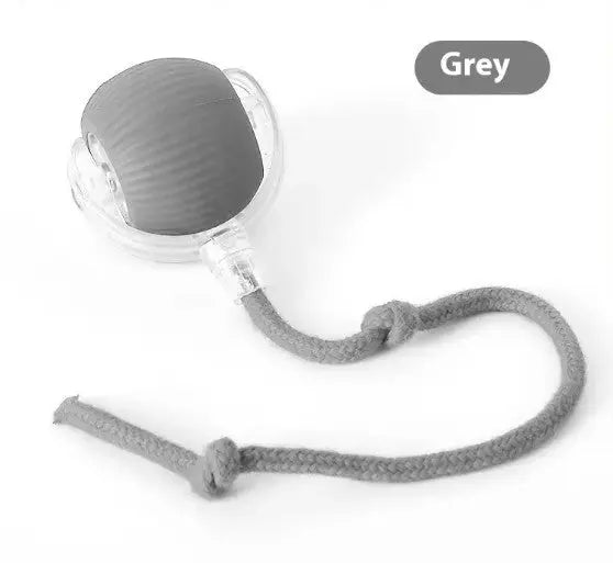 Speedy Tail Pet Toy Ball My Store