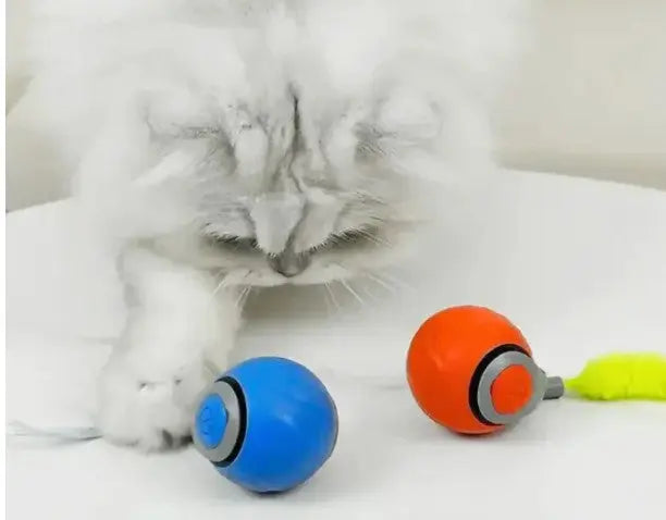 Speedy Tail Pet Toy Ball My Store