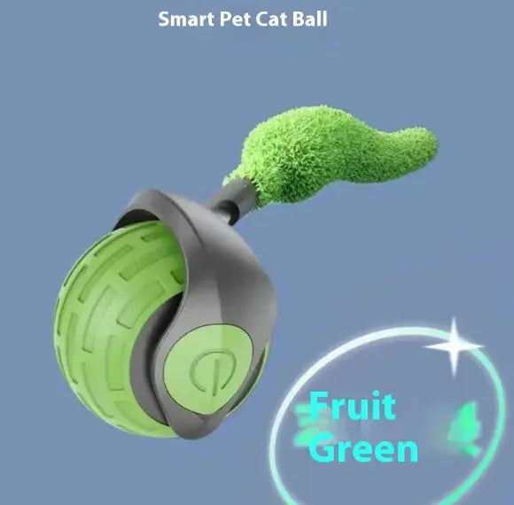Speedy Tail Pet Toy Ball My Store