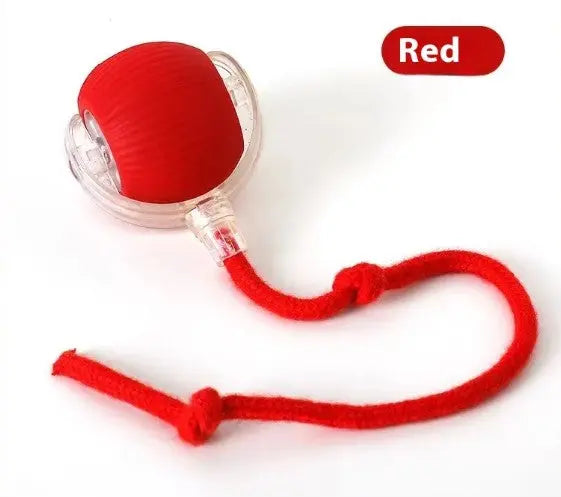 Speedy Tail Pet Toy Ball My Store
